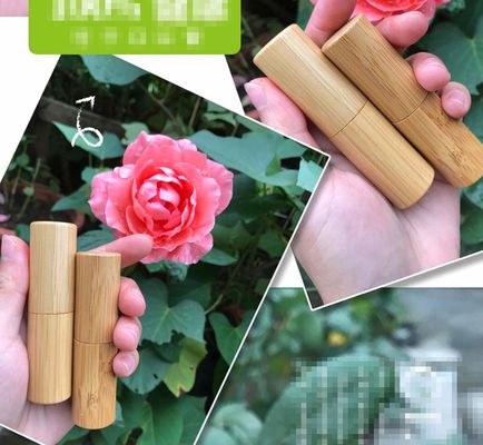 van de de Lippenstiftbuis van 5g 5ml Vriendschappelijke Chapstick Buizen 21mm van de Containereco